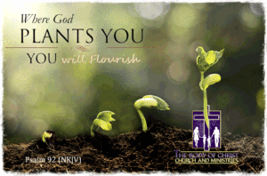 When God plants you, you will flourish! - The Body Of Christ Church ...